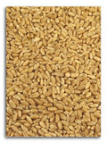 Organic Hard White Wheat 25 lbs. A980296