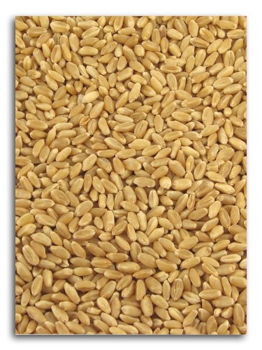 Organic Hard White Wheat 25 lbs. A980296