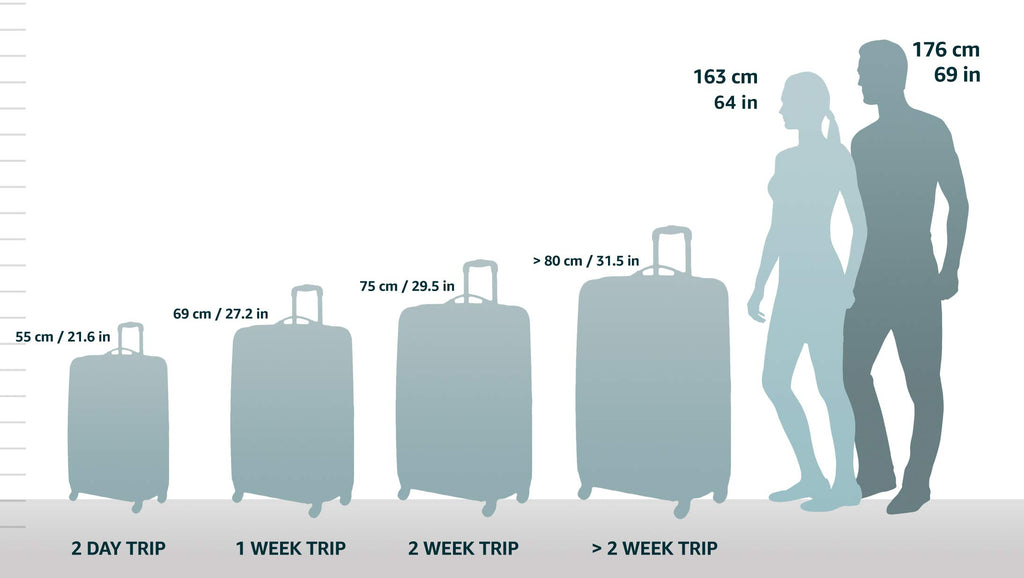 Black Expandable Spinner Carry-on 19" Y392033