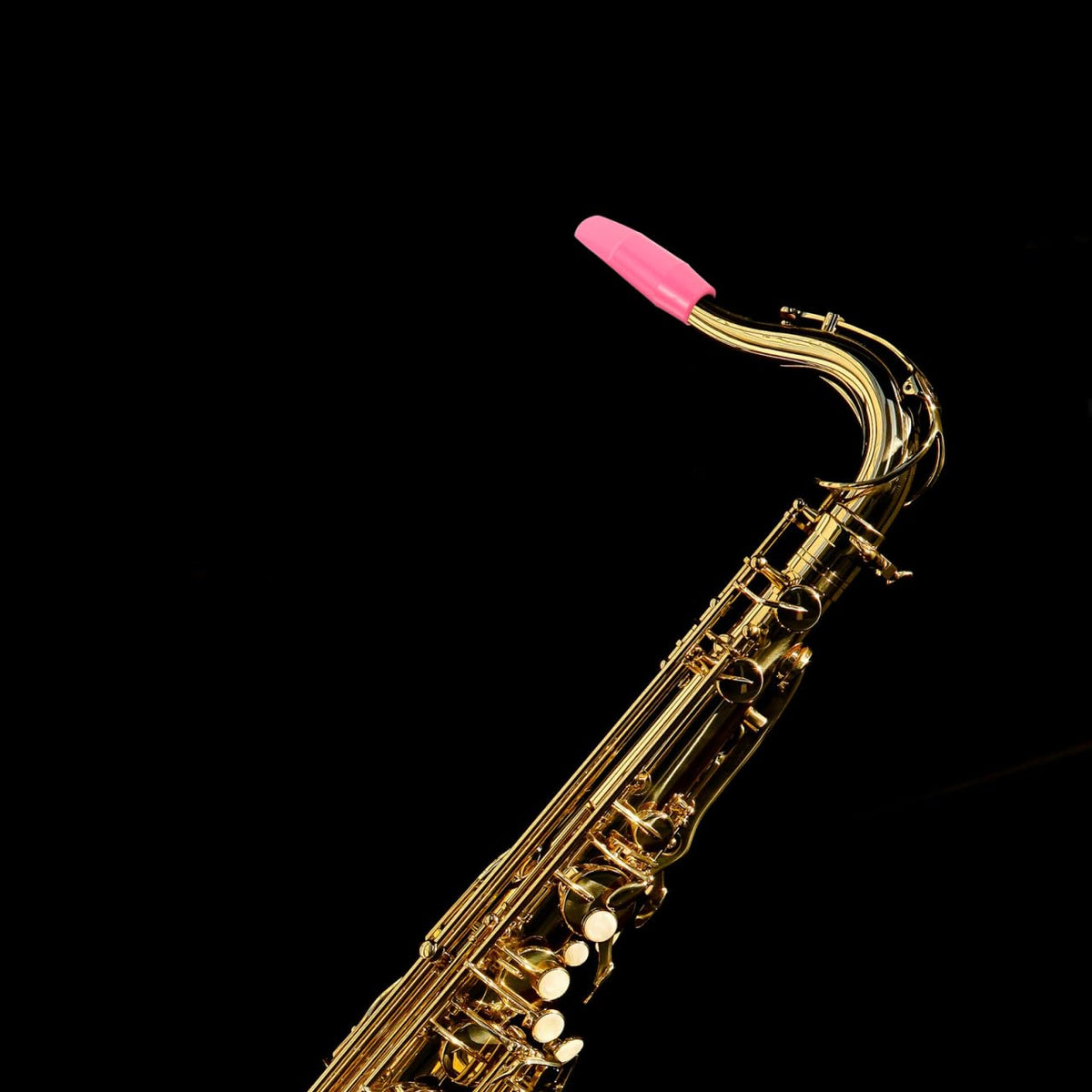 Alto Saxophone Mouthpiece E110218