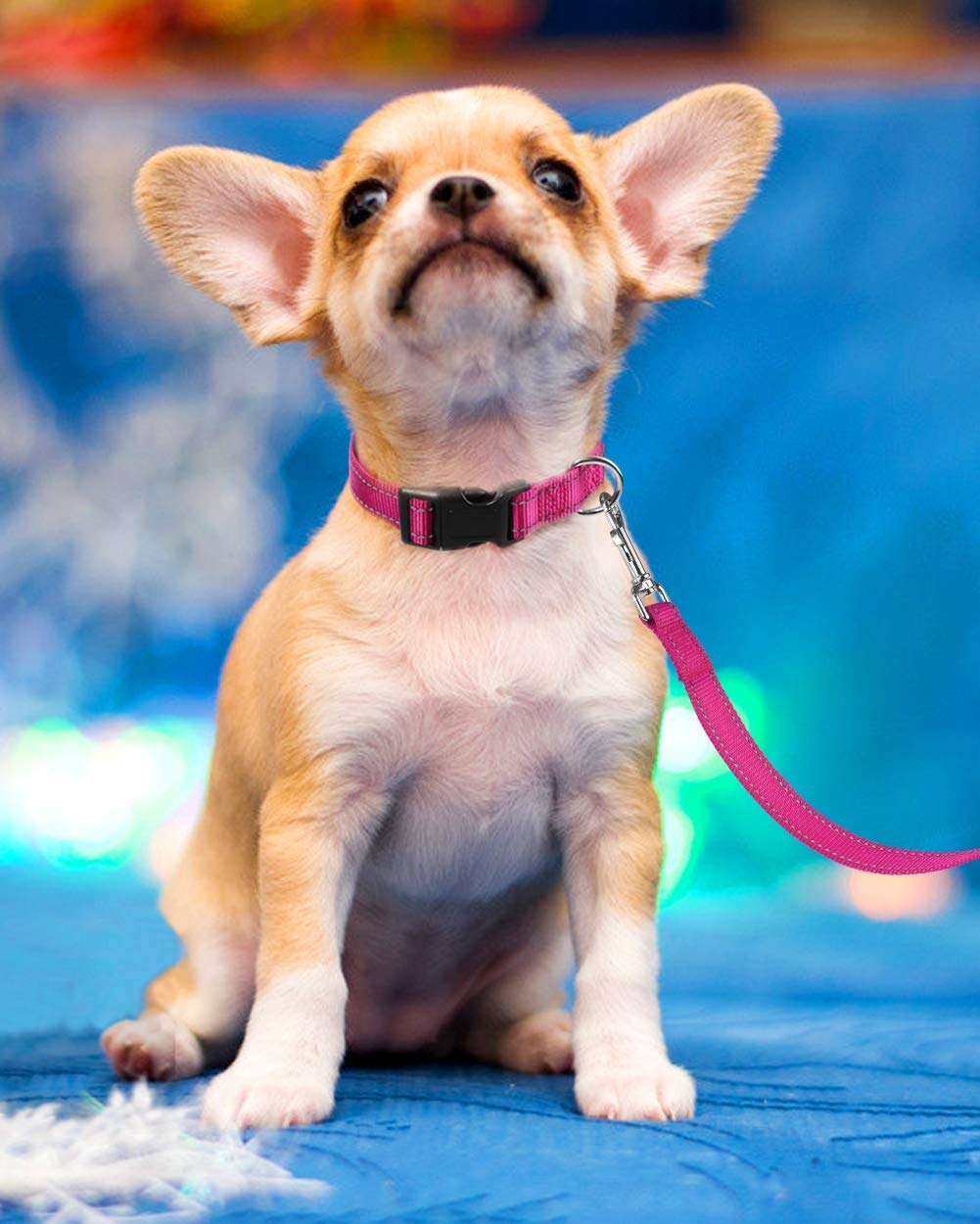 Reflective Adjustable Pink Dog Collar J92339