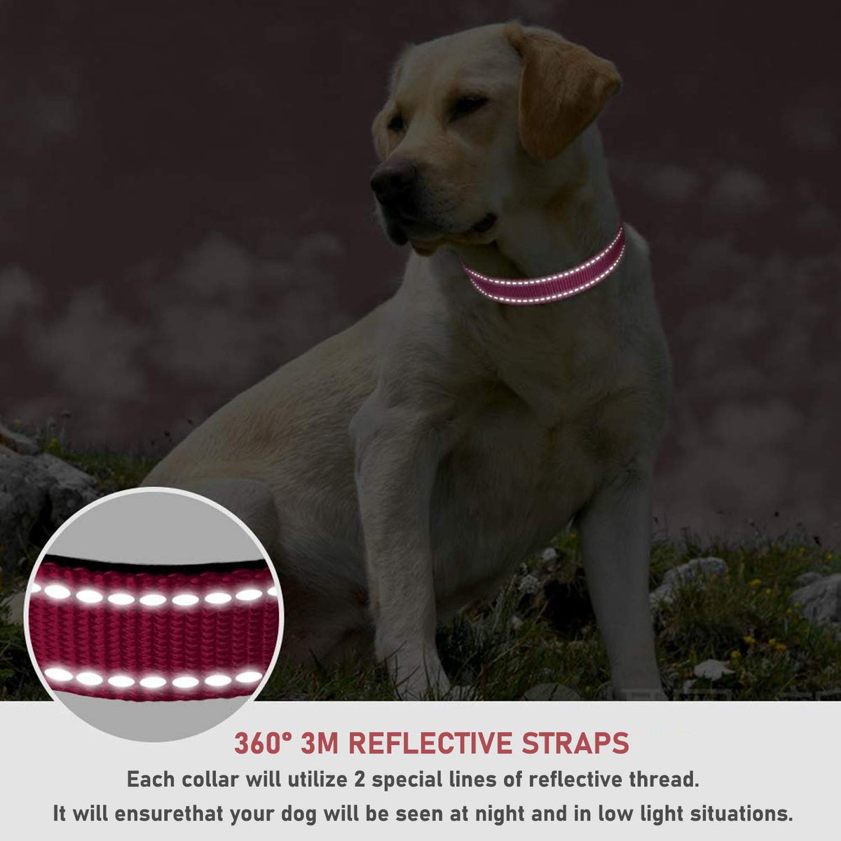 Reflective Adjustable Pink Dog Collar J92339