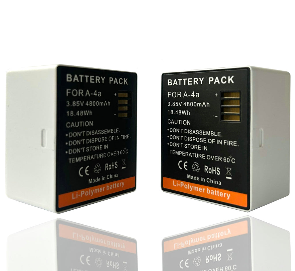 LCD Dual Charger with 2-Pack Batteries 3.85V 4800mAh T156