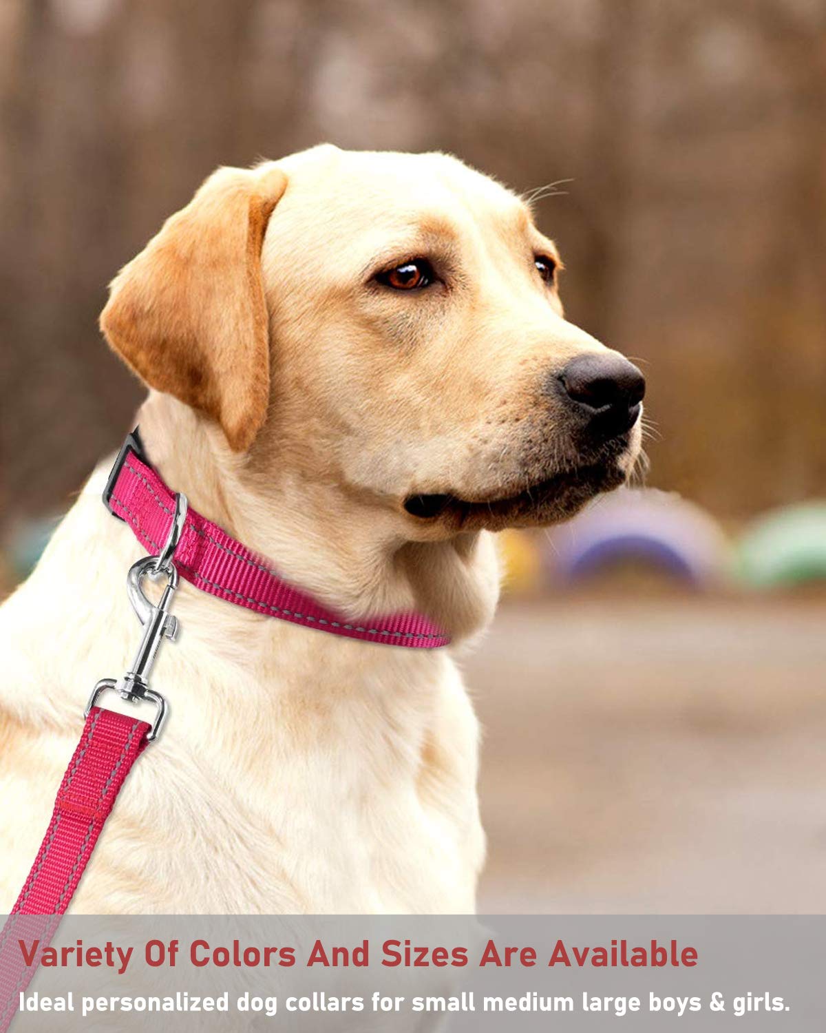 Reflective Adjustable Pink Dog Collar J92339