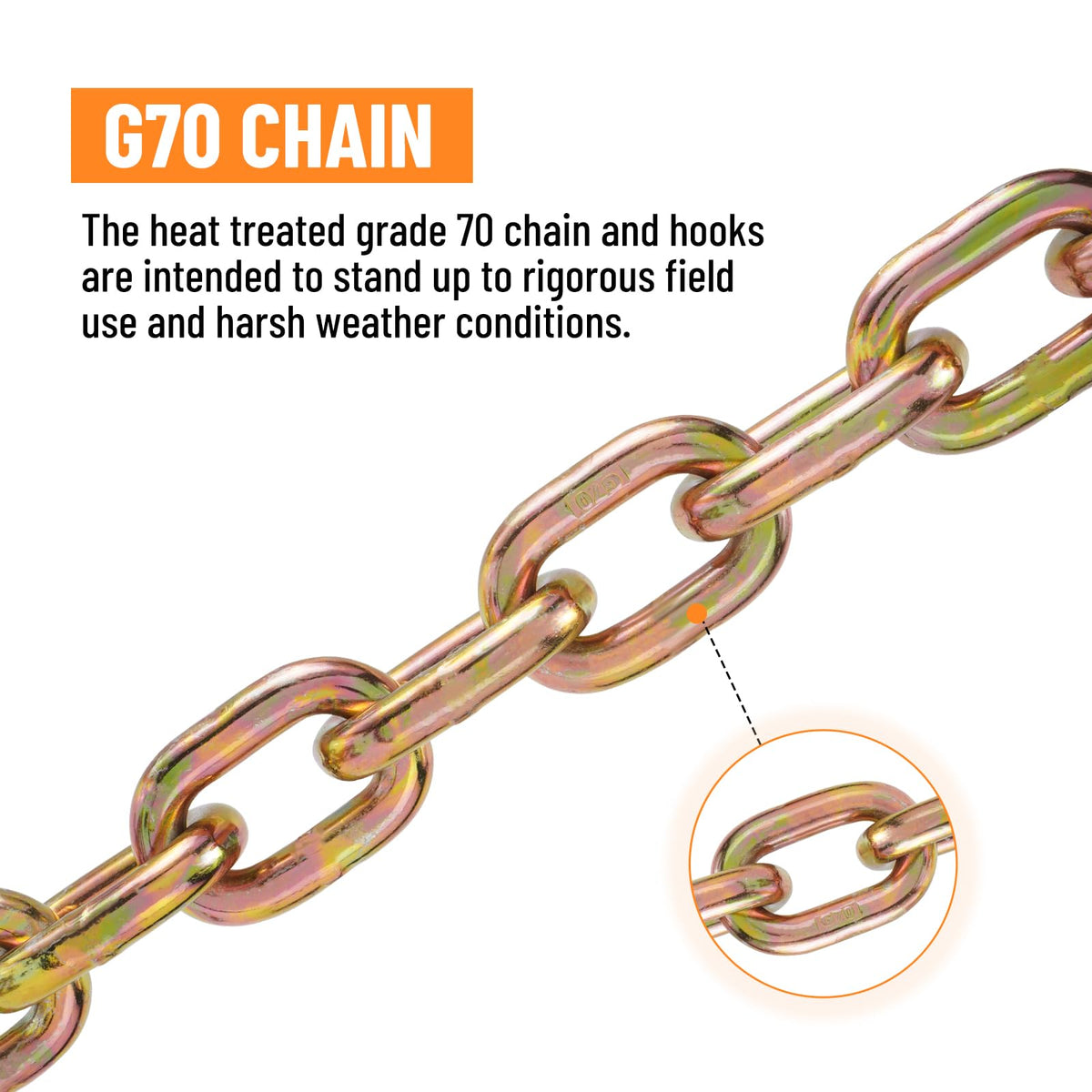 Binder Chain with Clevis Grab Hooks S18190