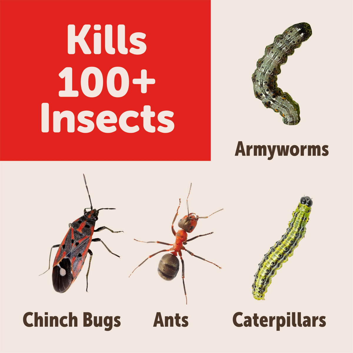 Garden Insect Killer Granules I76622