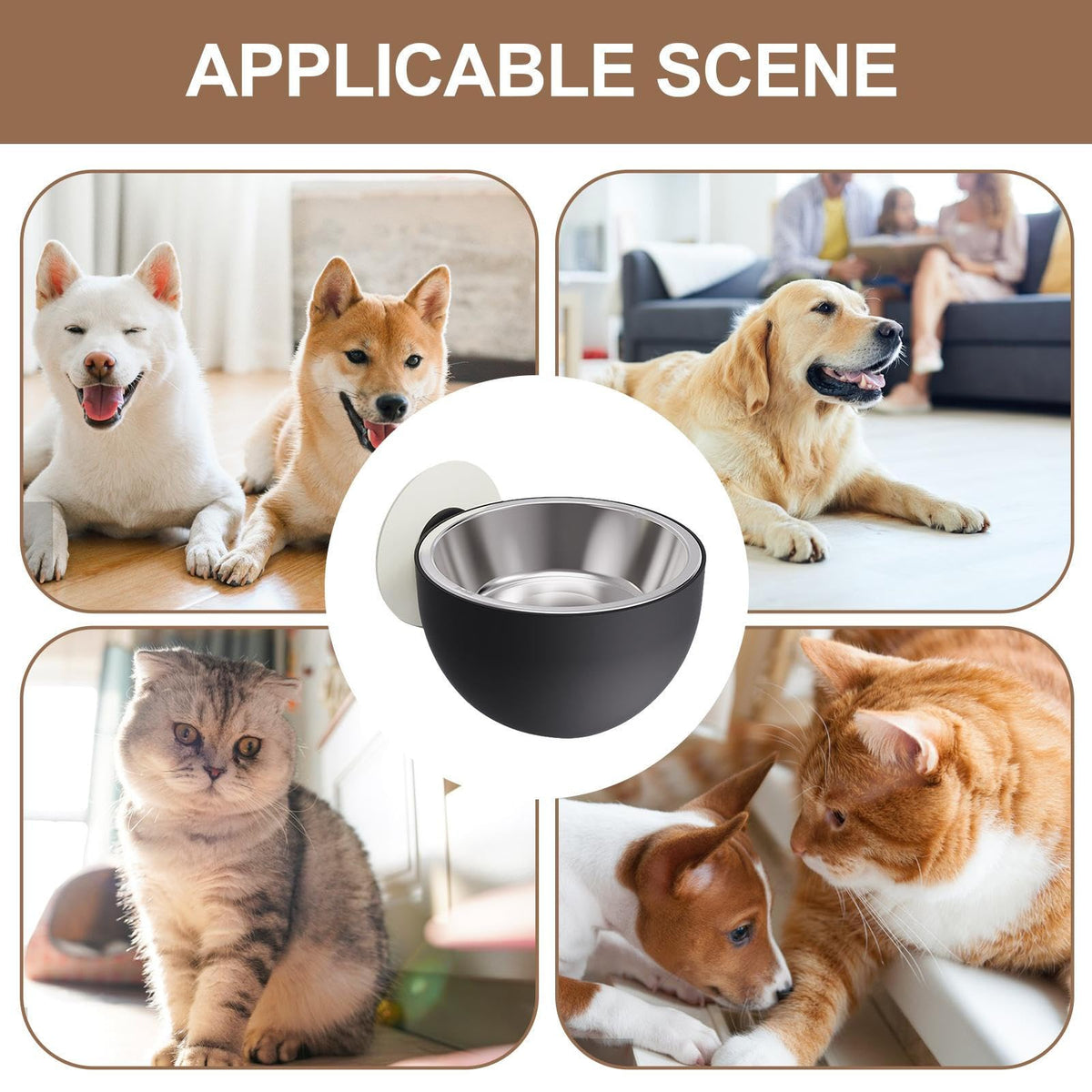 Wall Mounted Pet Bowls Dishwasher Safe O5883