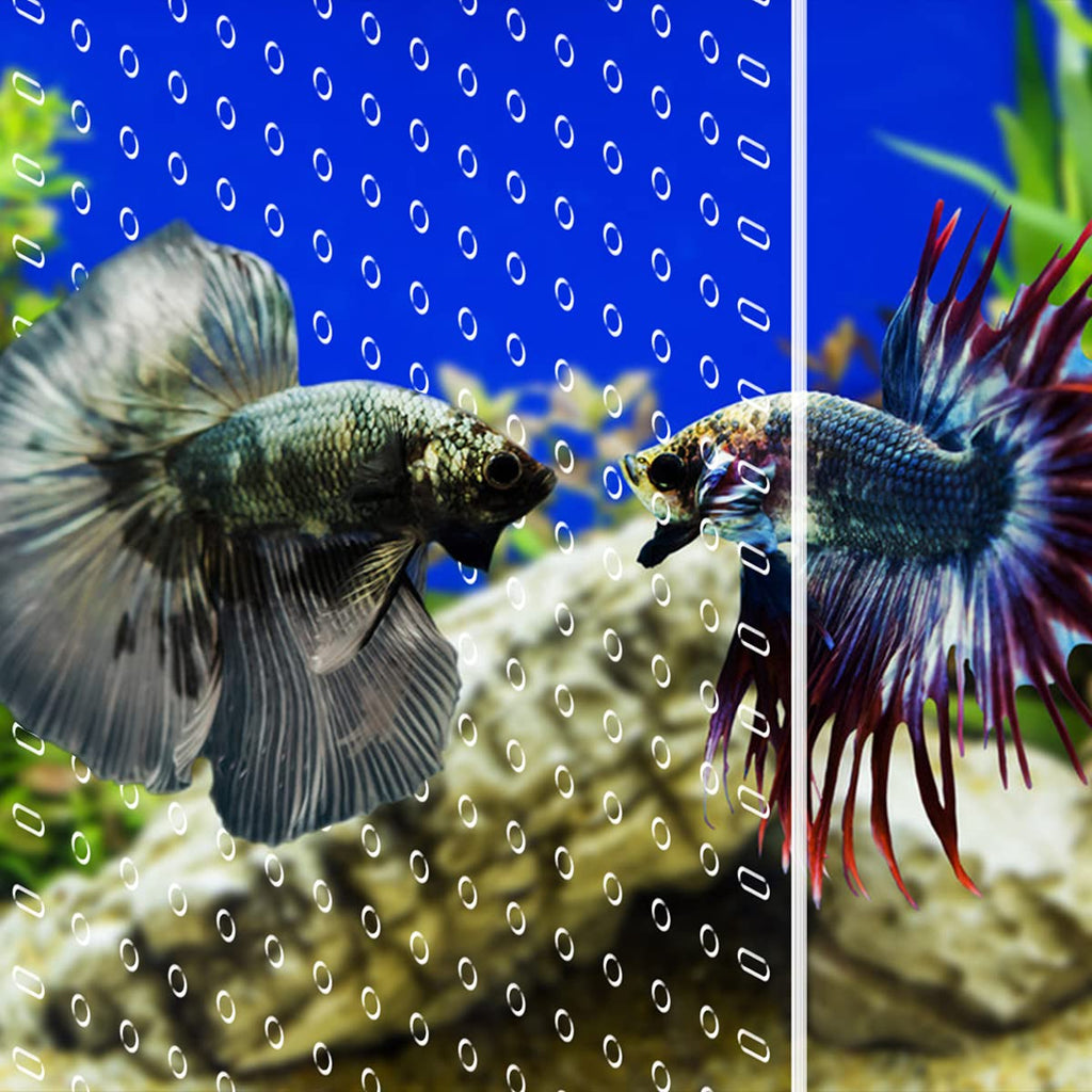 Clear Aquarium Divider with Suction Cups B4418