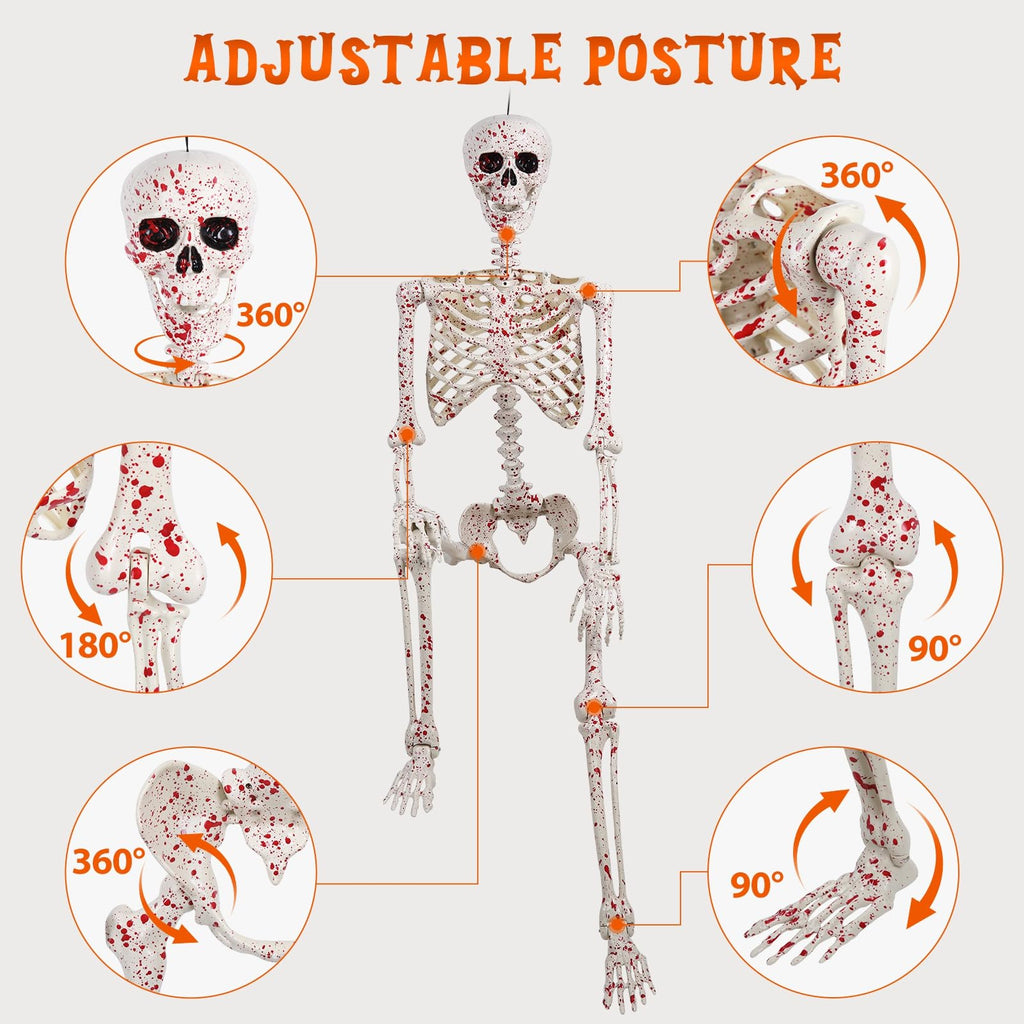 5.4FT Posable Life Size Skeleton Full Body Q592