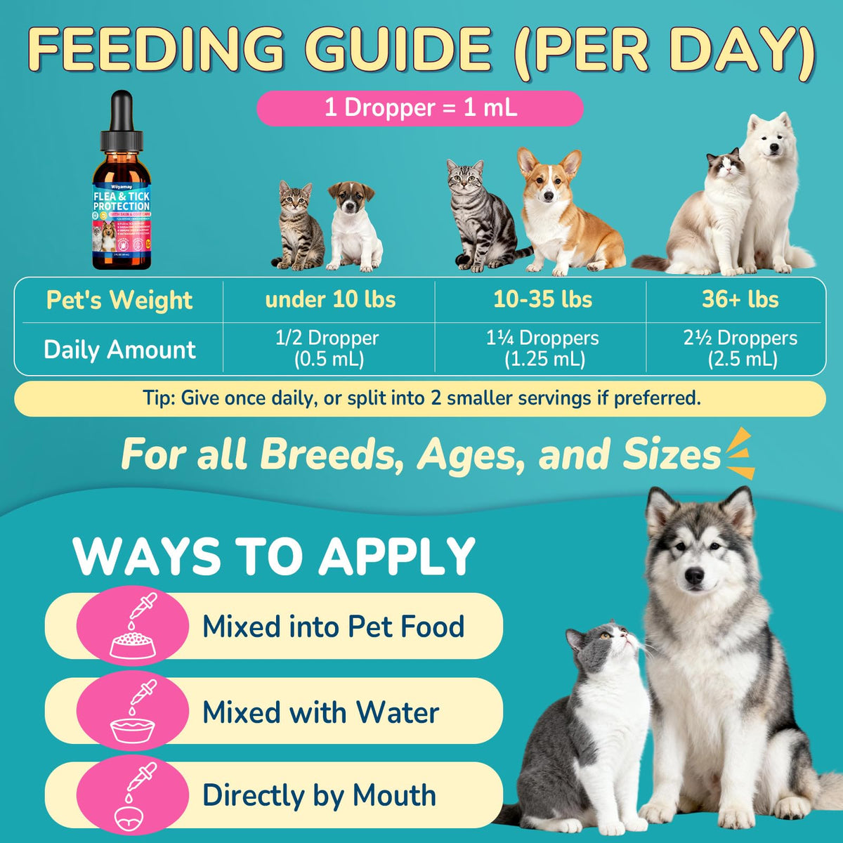Flea and Tick Prevention for Dogs & Cats N6421