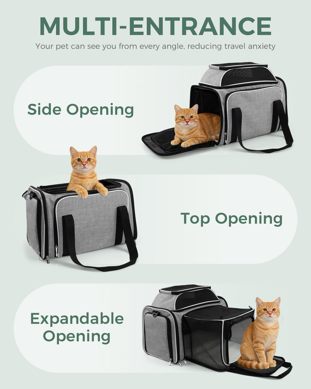 Airline Approved Soft Side Pet Carrier with Fleece Pad N89538