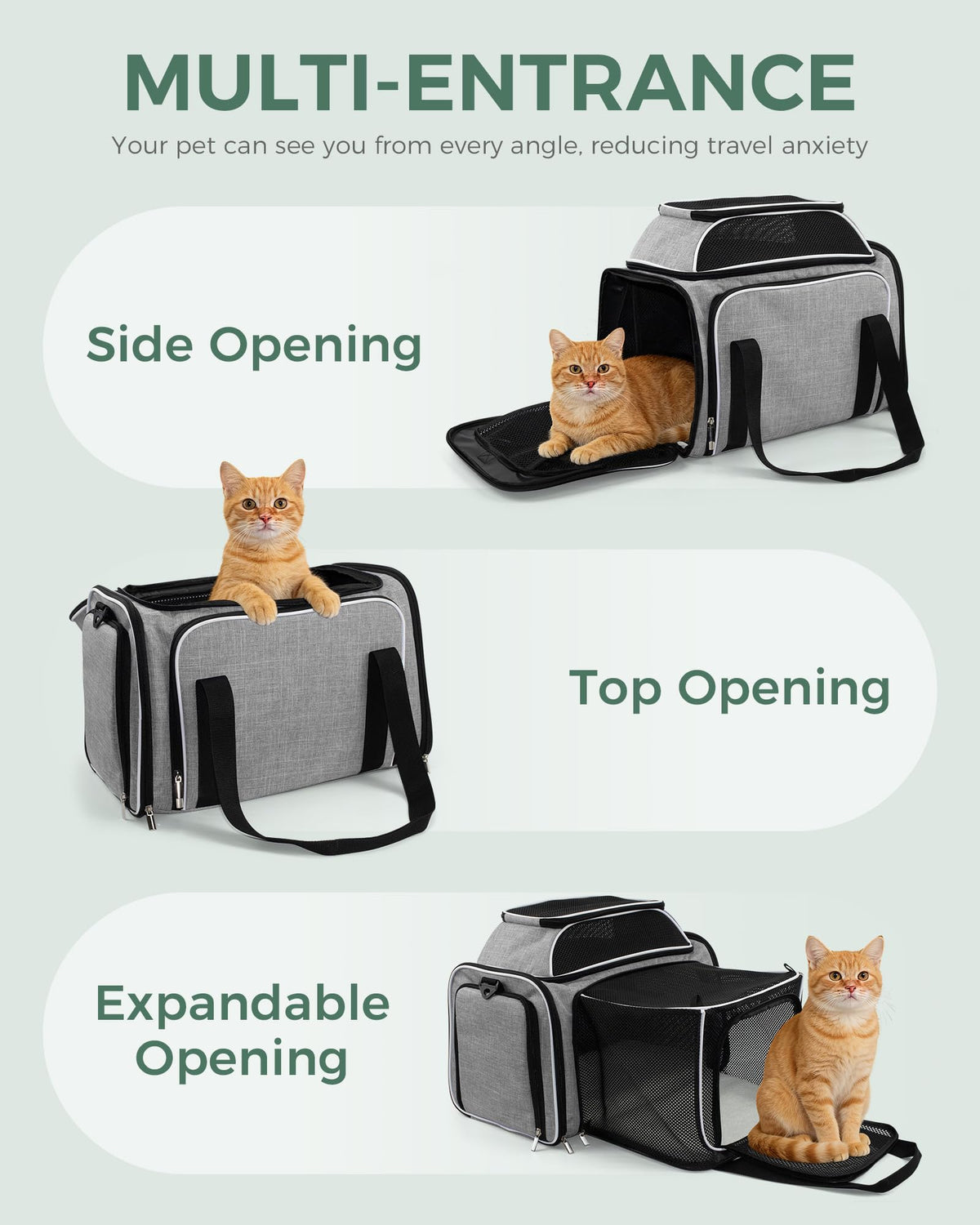 Airline Approved Soft Side Pet Carrier with Fleece Pad N89538
