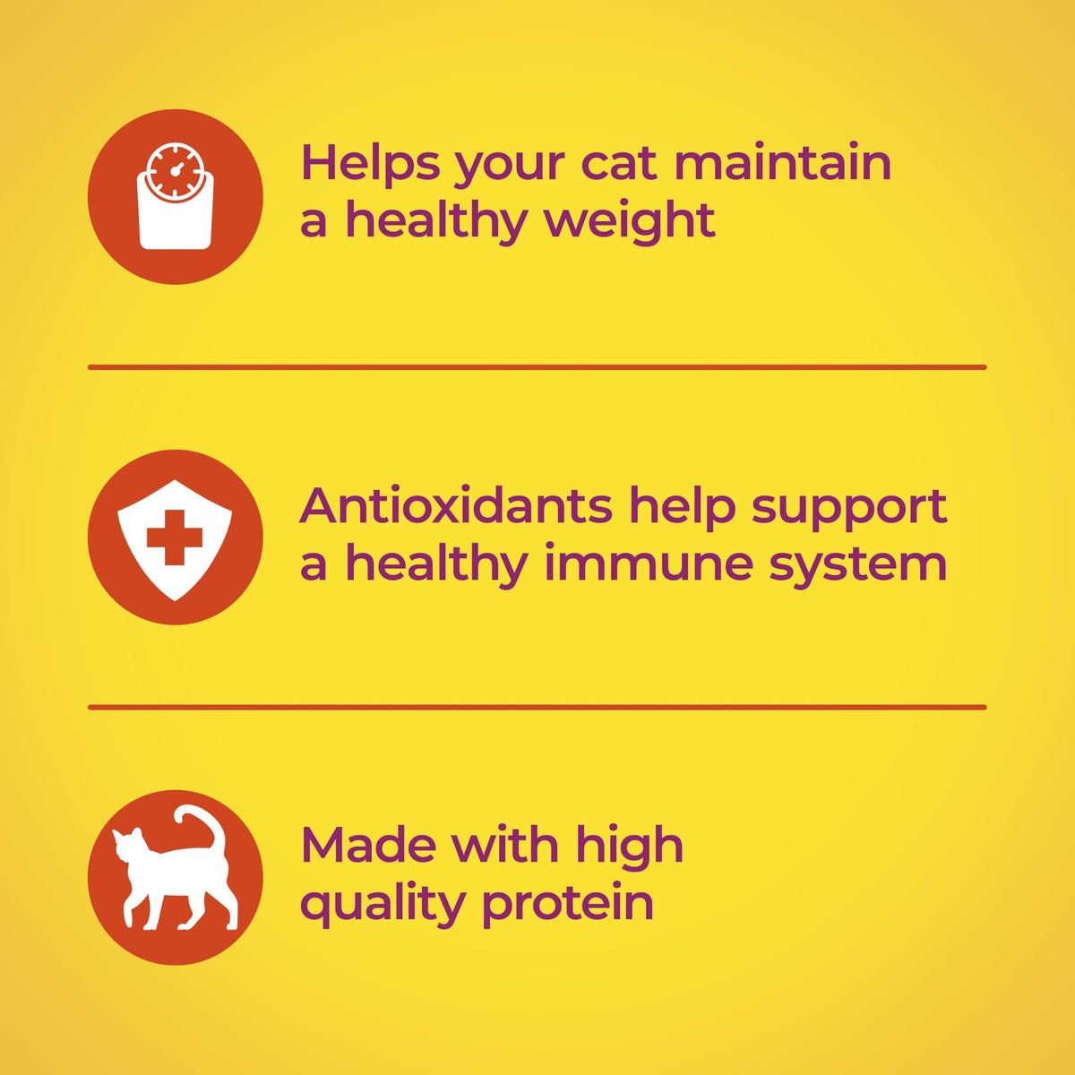 Indoor Health Dry Cat Food 6.3 Pound Bag X8748