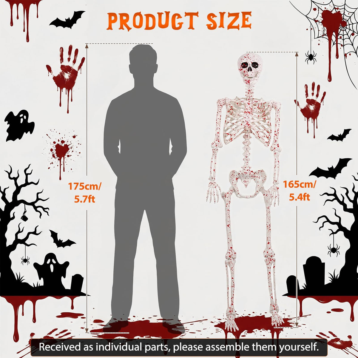 5.4FT Posable Life Size Skeleton Full Body Q592