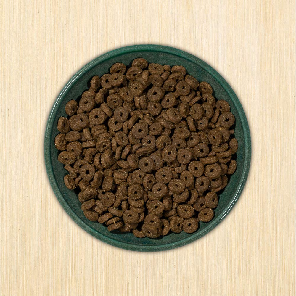Grain-Free Chicken & Fish Dry Cat Food 12-lb Bag S921681