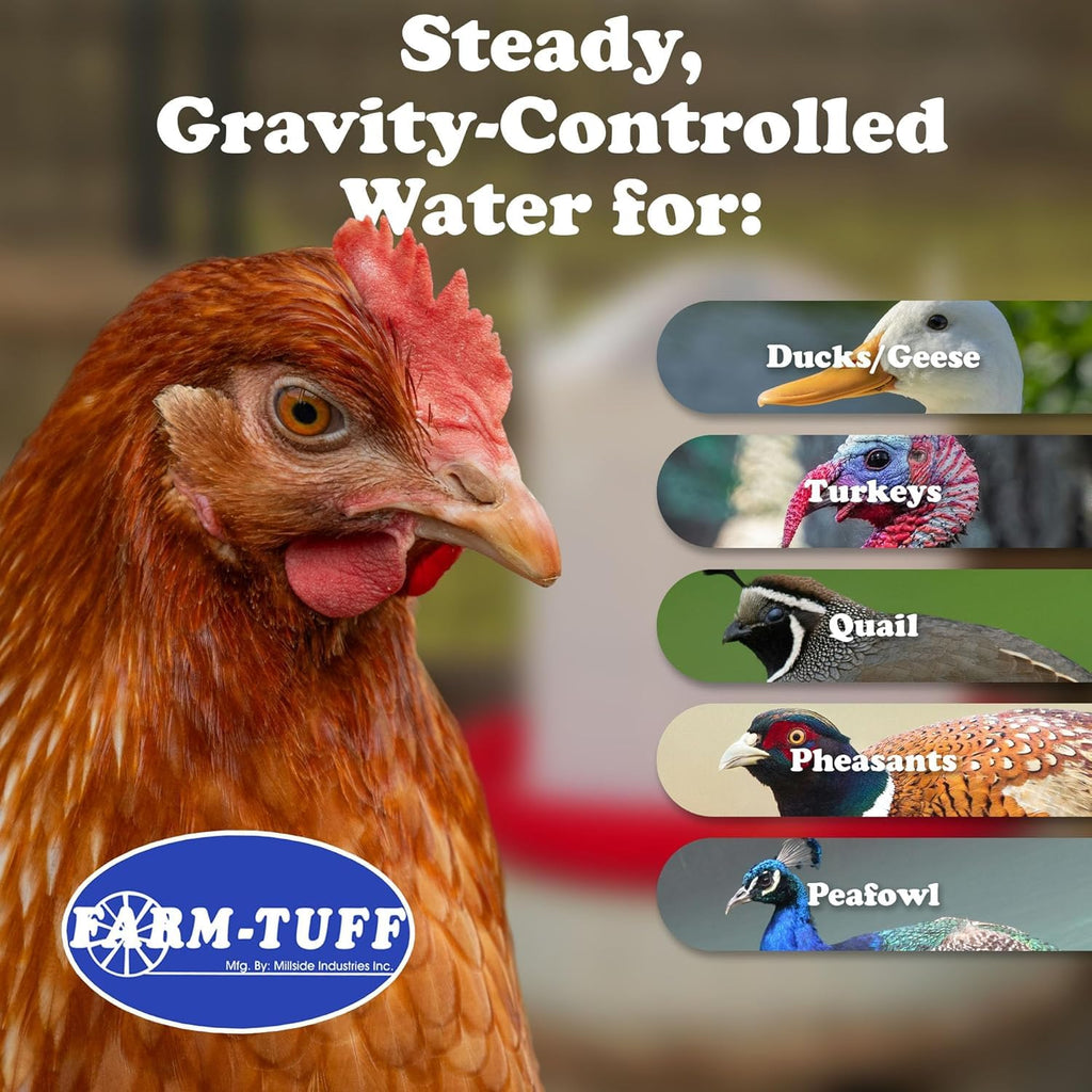 3 Gallon Plastic Poultry Waterer G2229