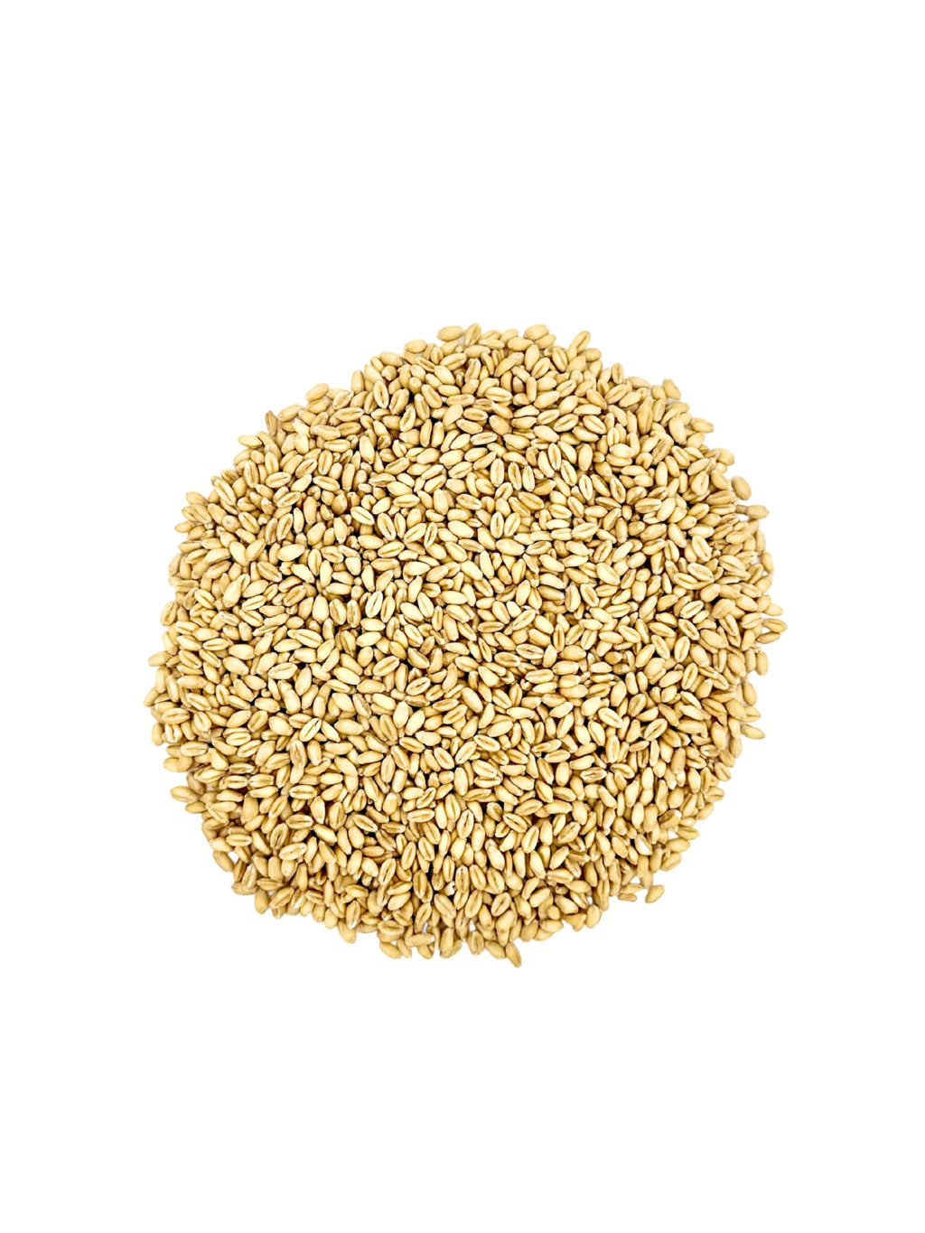 Soft White Wheat Berries 23 lbs Non-GMO V1165