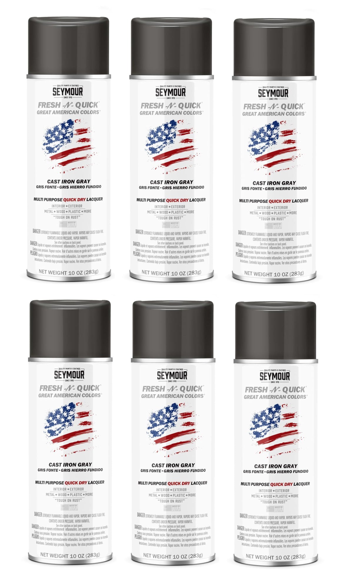 Cast Iron Gray Multi-Purpose Spray Paint 6-Pack T1425