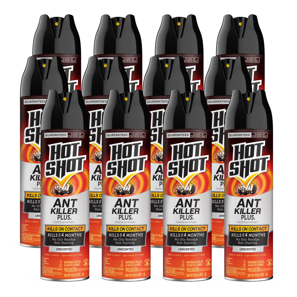 Ant Killer Aerosol 16 Oz Unscented 12 Pk P912
