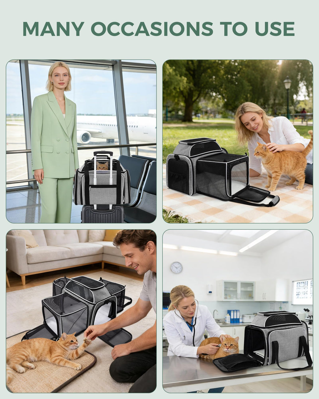 Airline Approved Soft Side Pet Carrier with Fleece Pad N89538