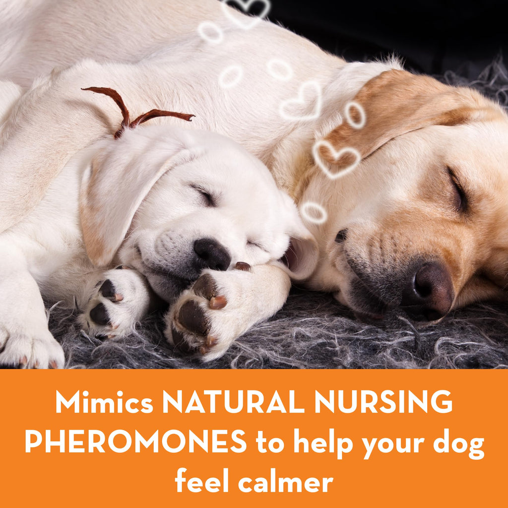 Calming Collar for Dogs (Large) O492