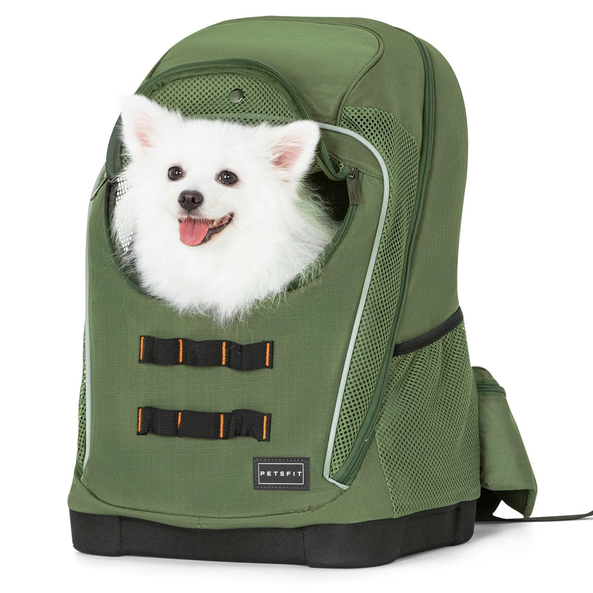 Green Pet Dog Carrier Backpack with Large Ventilations R22121