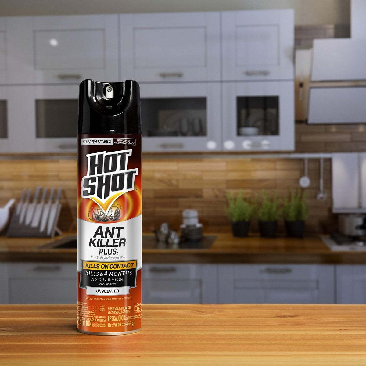 Ant Killer Aerosol 16 Oz Unscented 12 Pk P912