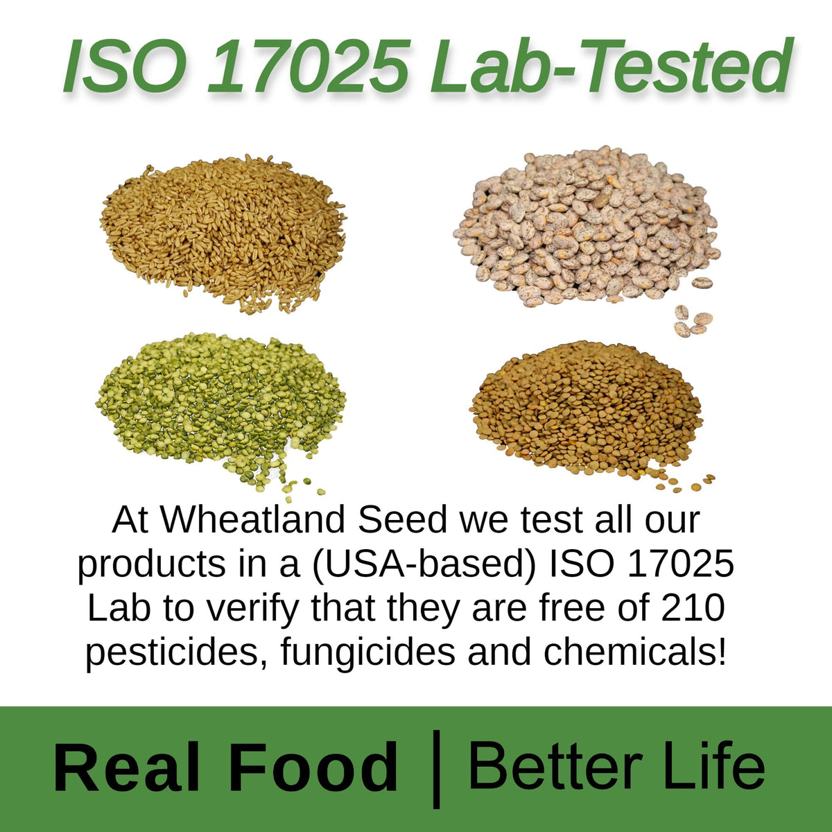 Soft White Wheat Berries 23 lbs Non-GMO V1165