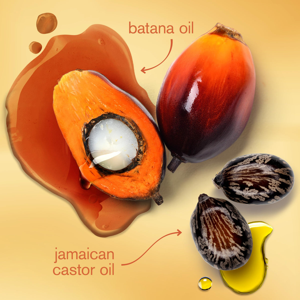 Moisture Nourishing Mask with Batana Oil + Jamaican Black Castor Oil, 10 Ounce (Pack of 12) J50377