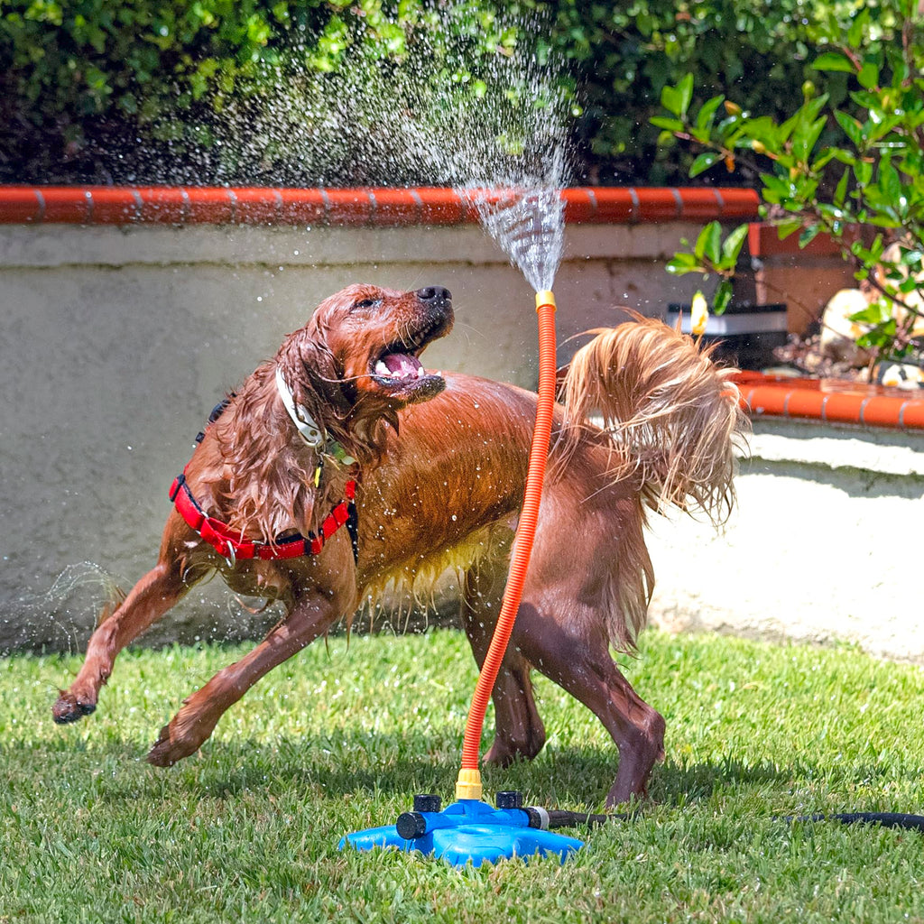 Interactive Water Toy for Dogs E3405
