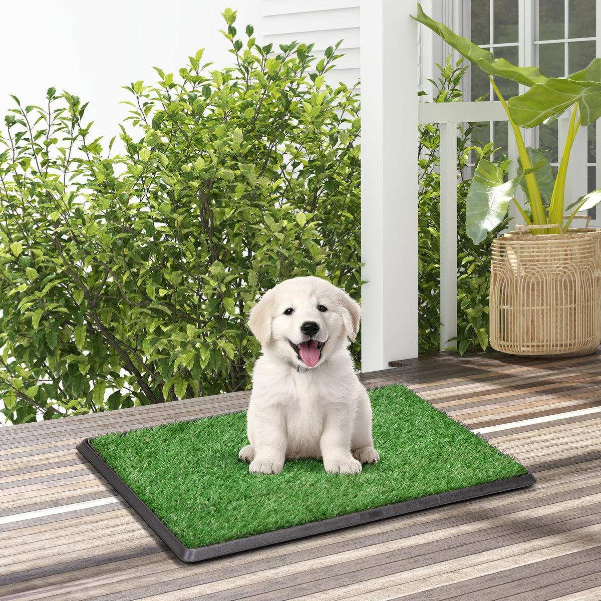 25" x 20" Reusable Indoor Dog Potty with Tray and 2 Artificial Grass Pads P45711