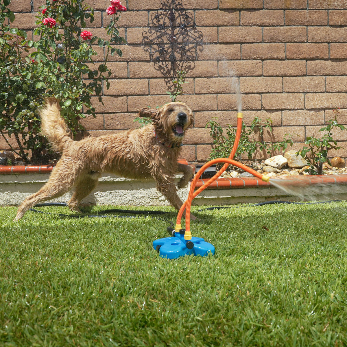 Interactive Water Toy for Dogs E3405