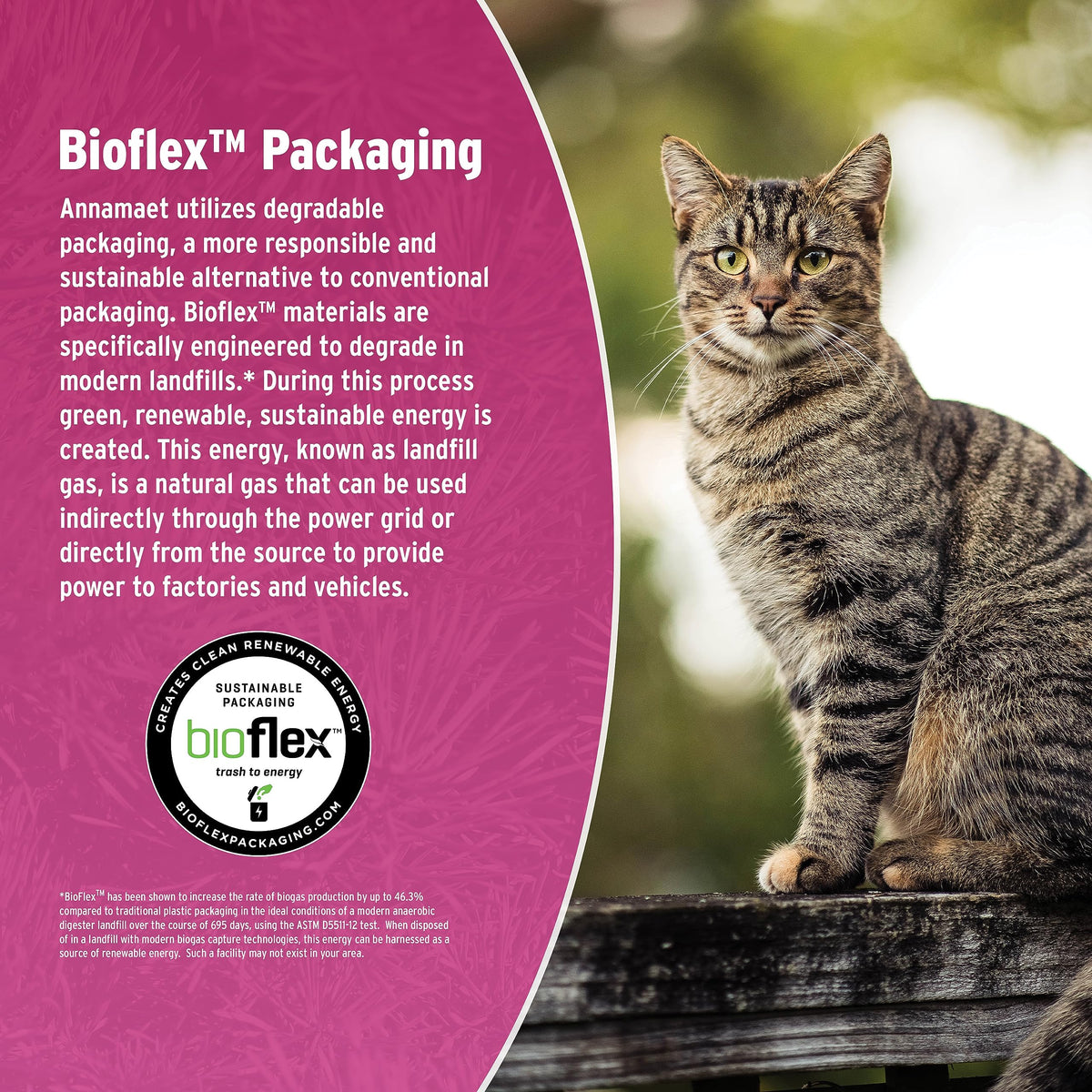 Grain-Free Chicken & Fish Dry Cat Food 12-lb Bag S921681